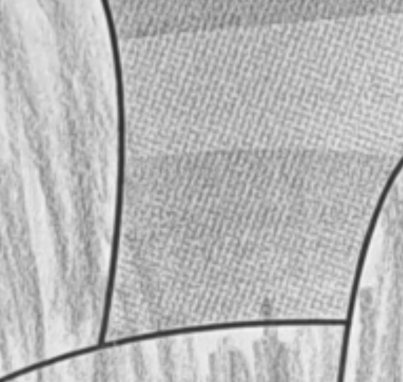 Grayscale image zoom 2 Grayscale image zoom 2