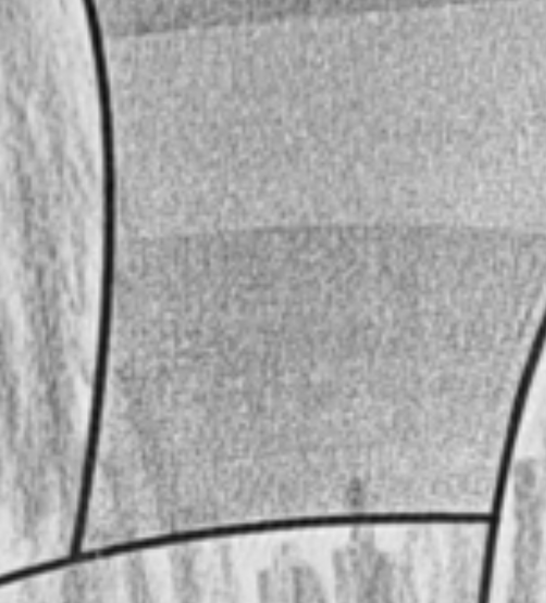 Grayscale result zoom 2 Grayscale result zoom 2